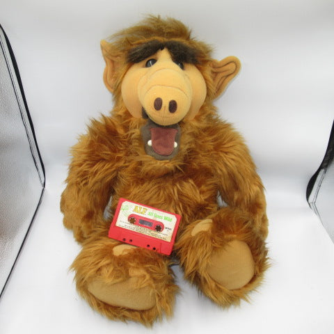 新入荷いたしました！（8月19日 61商品）