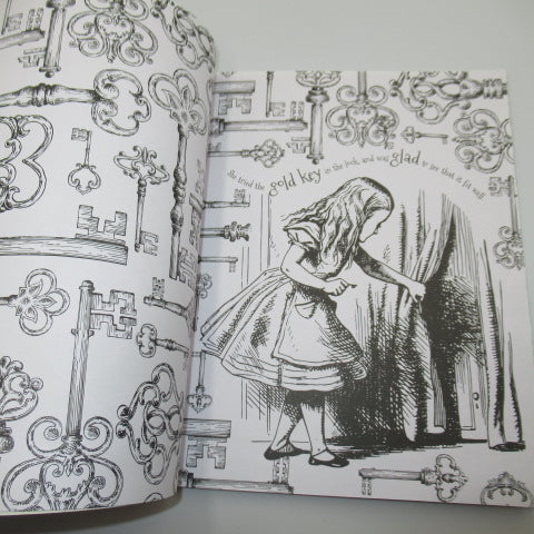 Alice in Wonderland★アリスインワンダーランド★カラーリングブック★ぬりえ★本★人形★フィギュア★ぬいぐるみ★2★