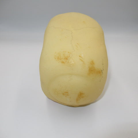 scull★skull★luminous★bone★skeleton★Halloween★Halloween★ornament★display★figure★stuffed animal★doll★ 