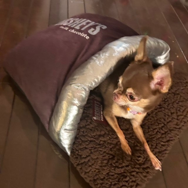 HERSHEY’S★ハーシーズ★チョコtレート★犬用ベッド★PET SACK★クッション★ピロー★小型犬用★新品★