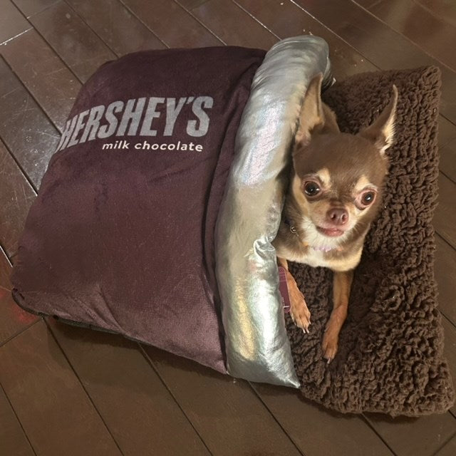 HERSHEY’S★ハーシーズ★チョコtレート★犬用ベッド★PET SACK★クッション★ピロー★小型犬用★新品★