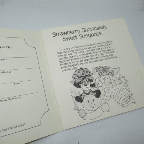 ビンテージ★1982年★Strawberry Shortcake★ストロベリーショートケーキ★レコード★RECORD★レコード★RECORD＆ストーリーブック★SWEET SONGS★7インチ★