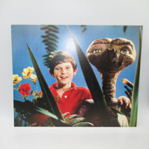 1982年★E.T.★イーティー★映画★Movie★ビンテージ★ポストカード★ジャンボポストカード★２０．５ｘ２５