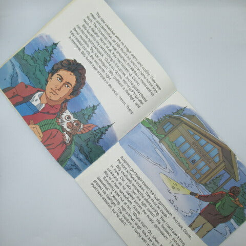 This is a picture book with a record! Vintage★80's★1984★Gremlins★STORY3★GREMLINS★Gizmo★Figure★Doll★16 pages 